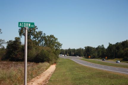 Land for sale in Jackson County, Florida