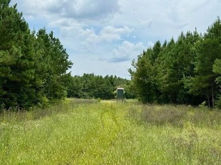 Land for sale in Lawrence County, Mississippi
