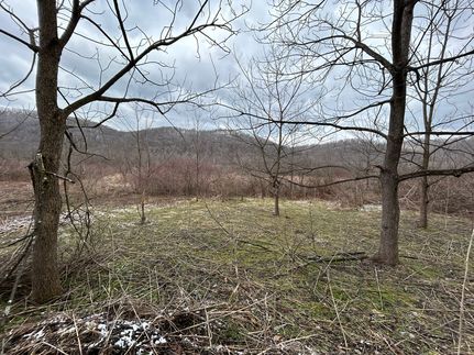 Undeveloped Land in Somerset County, Pennsylvania