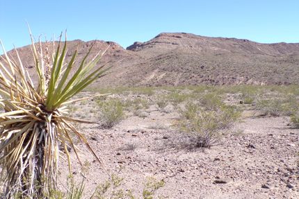 Undeveloped Land for sale in Mohave County, Arizona