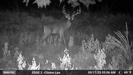 Farm and Ranch for sale in Van Buren County, Arkansas