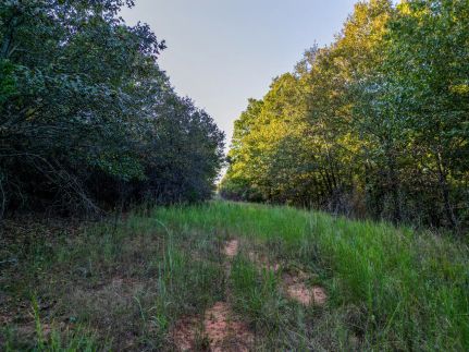 Timberland Property for sale in Pottawatomie County, Oklahoma