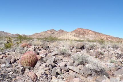 Farm and Ranch for sale in Mohave County, Arizona