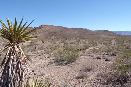 Farm and Ranch for sale in Mohave County, Arizona