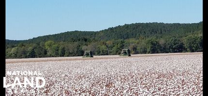 Land for sale in Franklin County, Alabama