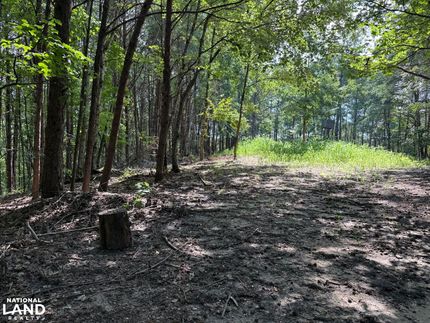 Recreational Property for sale in Tuscaloosa County, Alabama