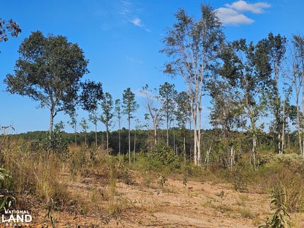 Land for sale in Lamar County, Alabama