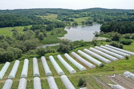 Land for sale in Madison County, New York
