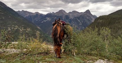 Farm and Ranch for sale in La Plata County, Colorado