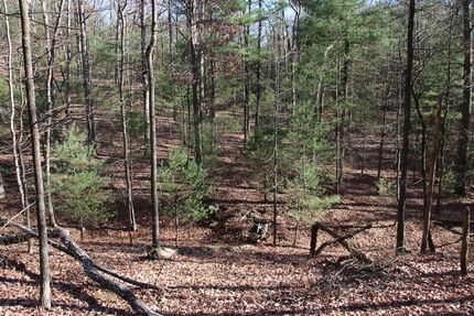 Land for sale in Shenandoah County, Virginia