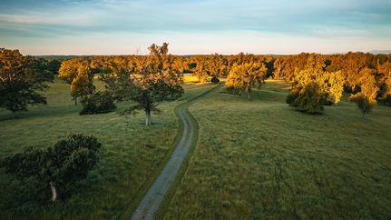 Farm and Ranch for sale in Fauquier County, Virginia