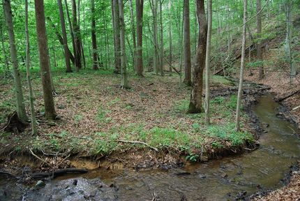 Land for sale in Clarke County, Virginia