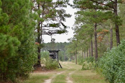 Timberland Property for sale in Williamsburg County, South Carolina