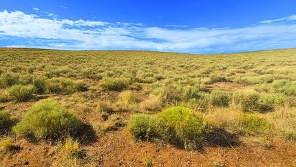 Undeveloped Land in Costilla County, Colorado