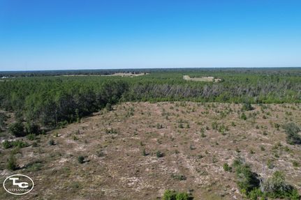 Land for sale in Liberty County, Florida