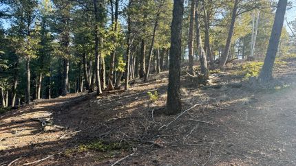 Timberland Property for sale in Teller County, Colorado