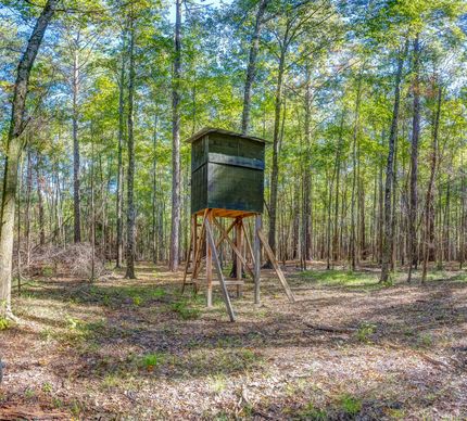 Land for sale in Macon County, Alabama