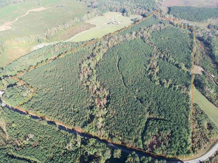 Farm and Ranch for sale in Dinwiddie County, Virginia