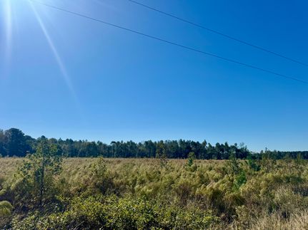 Farm and Ranch for sale in Bladen County, North Carolina