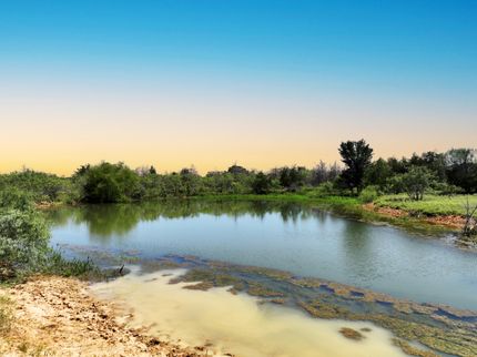 Hunting Property for sale in Milam County, Texas
