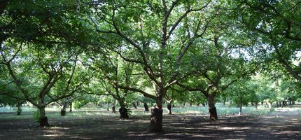 Riverfront Property for sale in Sacramento County, California