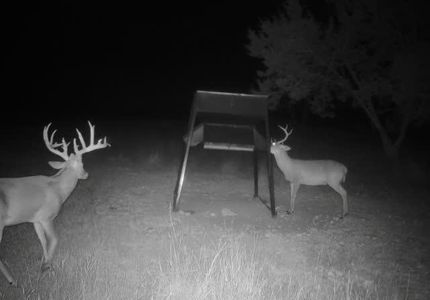 Farm and Ranch for sale in Kerr County, Texas