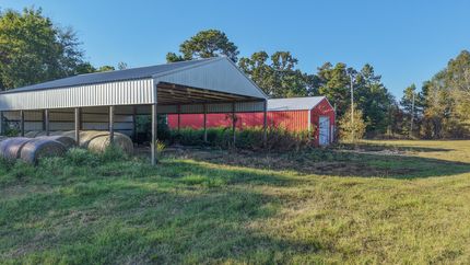 Farm and Ranch for sale in Bowie County, Texas