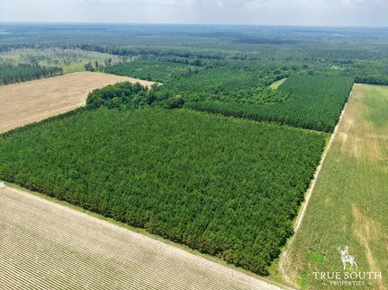 Land in Allendale County, South Carolina