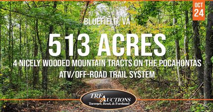 Hunting Property for sale in Tazewell County, Virginia