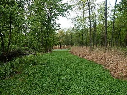 Land for sale in Calhoun County, Michigan