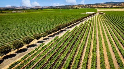 Land for sale in Solano County, California