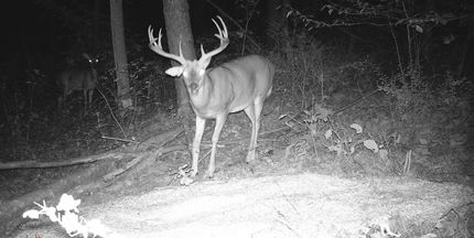 Land for sale in Tuscarawas County, Ohio