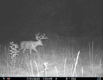 Land for sale in Putnam County, Missouri