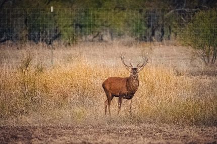 Recreational Property for sale in Coleman County, Texas