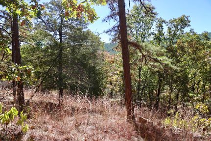 Timberland Property for sale in Le Flore County, Oklahoma