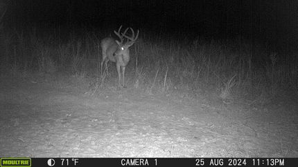 Farm and Ranch for sale in Benton County, Tennessee