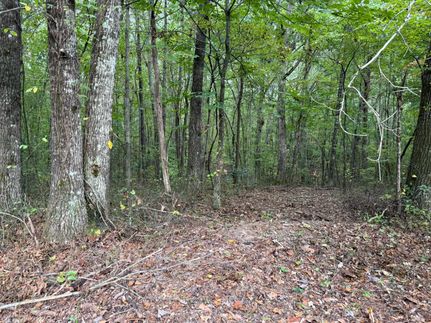 Land for sale in Grundy County, Tennessee