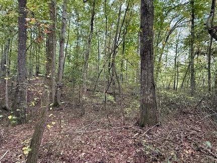 Land for sale in Grundy County, Tennessee