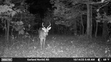 Farm and Ranch for sale in Izard County, Arkansas