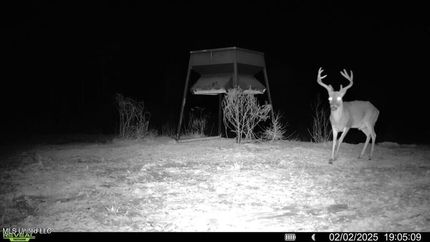 Recreational Property for sale in Catahoula Parish, Louisiana