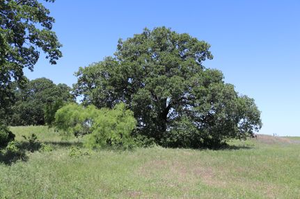 Land for sale in Clay County, Texas