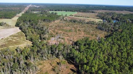 Undeveloped Land for sale in Emanuel County, Georgia