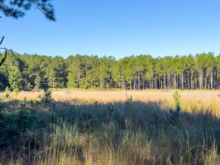 Land for sale in Burke County, Georgia