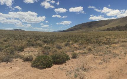 Undeveloped Land for sale in Costilla County, Colorado