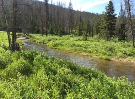 Waterfront Property for sale in Albany County, Wyoming