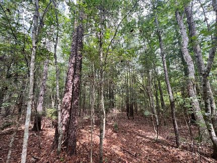 Land for sale in Wayne County, Mississippi