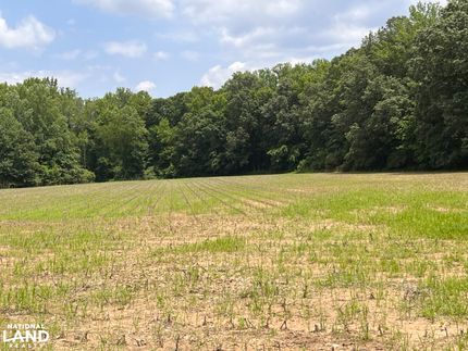 Land for sale in Madison County, Alabama