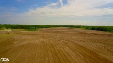 Undeveloped Land for sale in Geneva County, Alabama