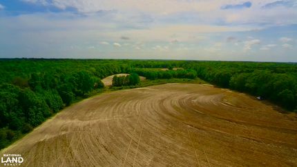 Undeveloped Land for sale in Geneva County, Alabama