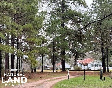 Undeveloped Land in Montgomery County, Texas